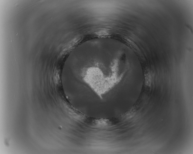 X0000103290618200809051501