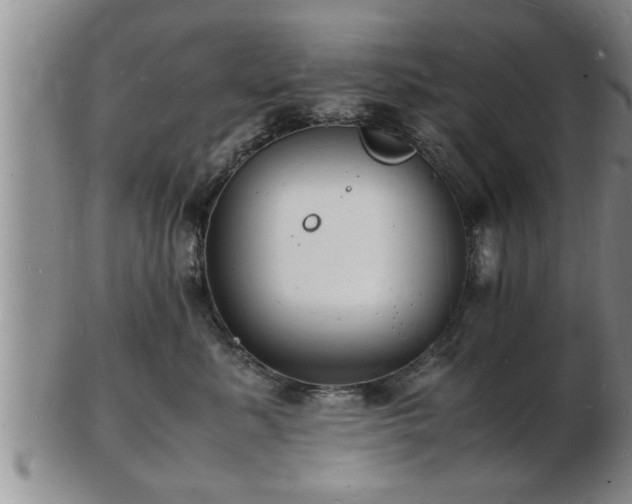 X0000103290619200809051501