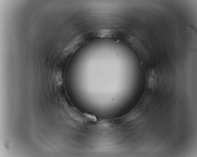 X0000103290620200809051501