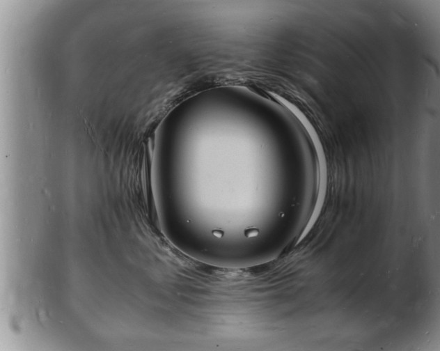 X0000103290621200809051501