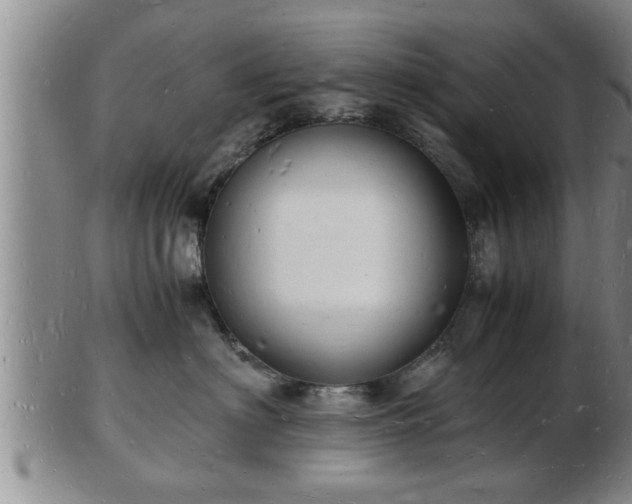 X0000103290622200809051501