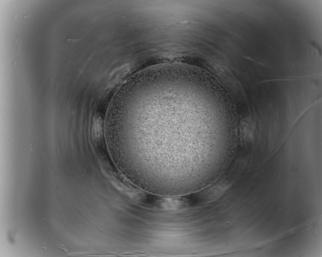 X0000103290623200809051501