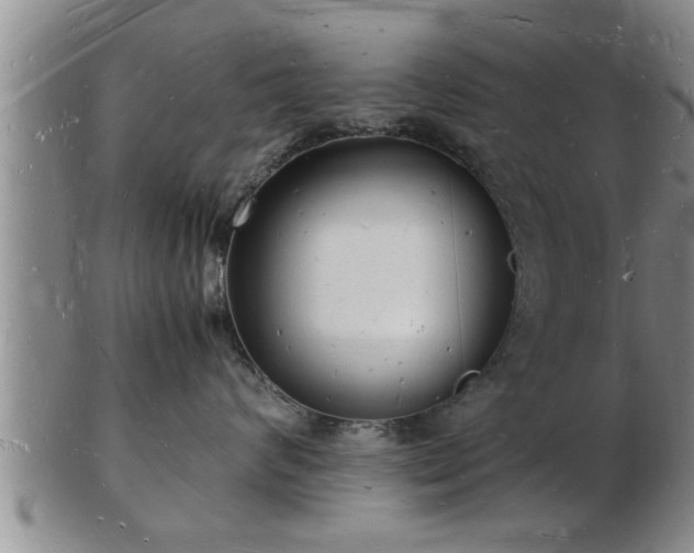 X0000103290624200809051501