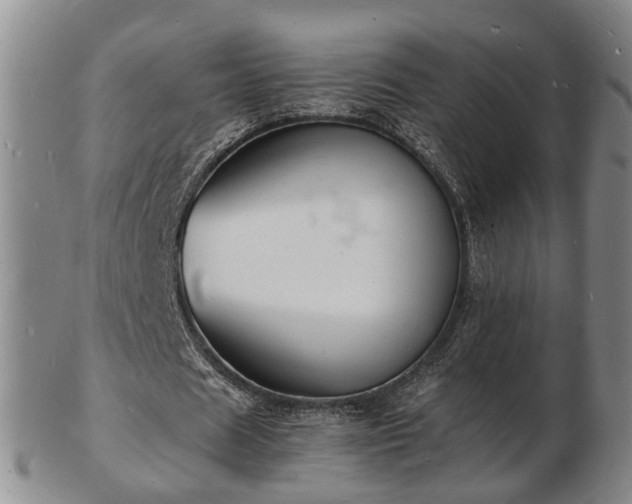 X0000103290625200809051500