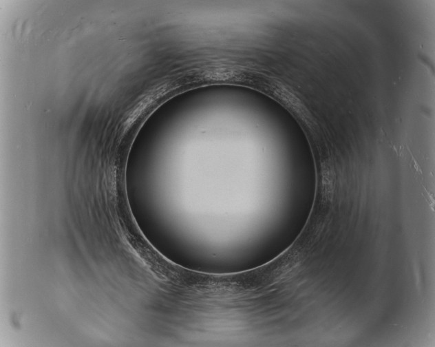 X0000103290626200809051500