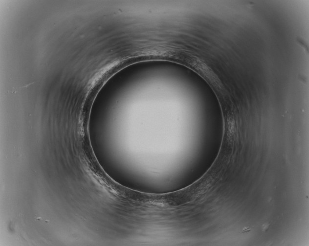 X0000103290628200809051500