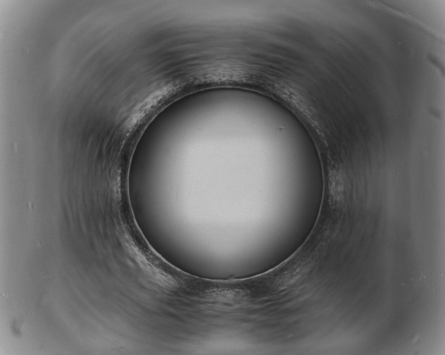 X0000103290629200809051500