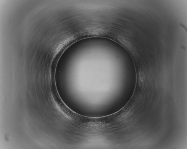 X0000103290630200809051500