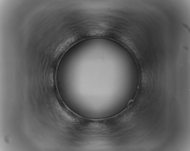 X0000103290633200809051500