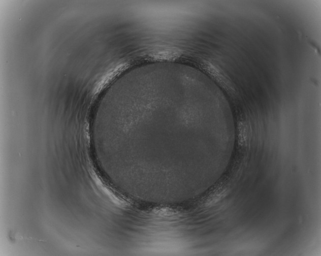 X0000103290634200809051500