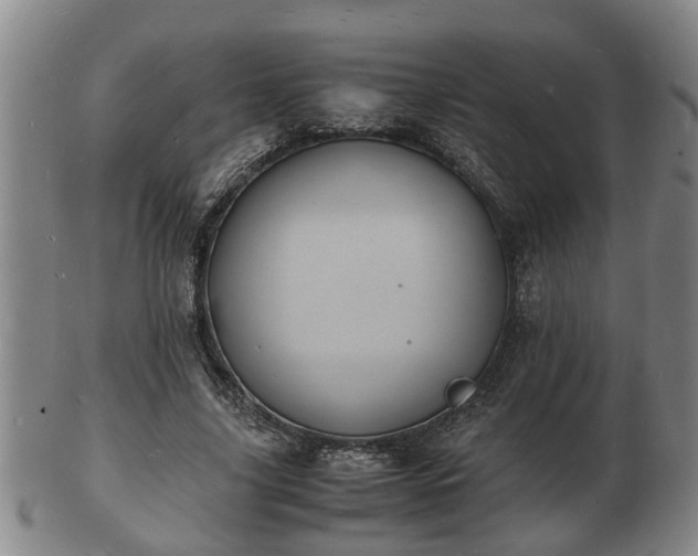 X0000103290635200809051500