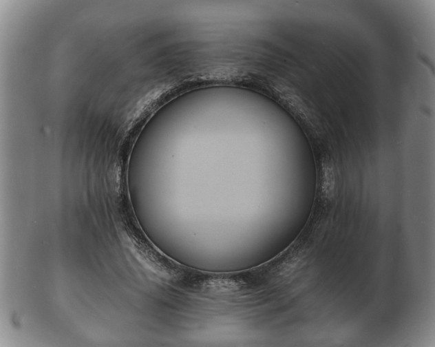 X0000103290636200809051500