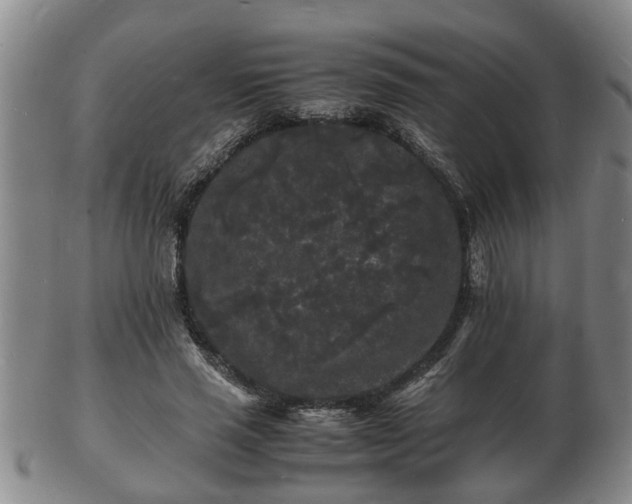 X0000103290637200809051500