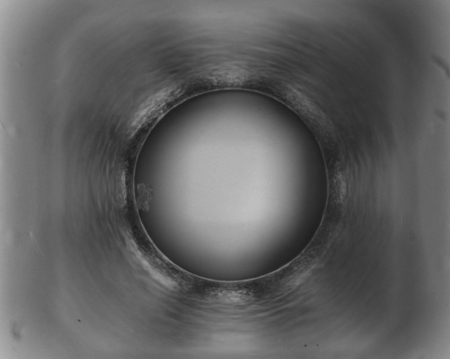 X0000103290638200809051500