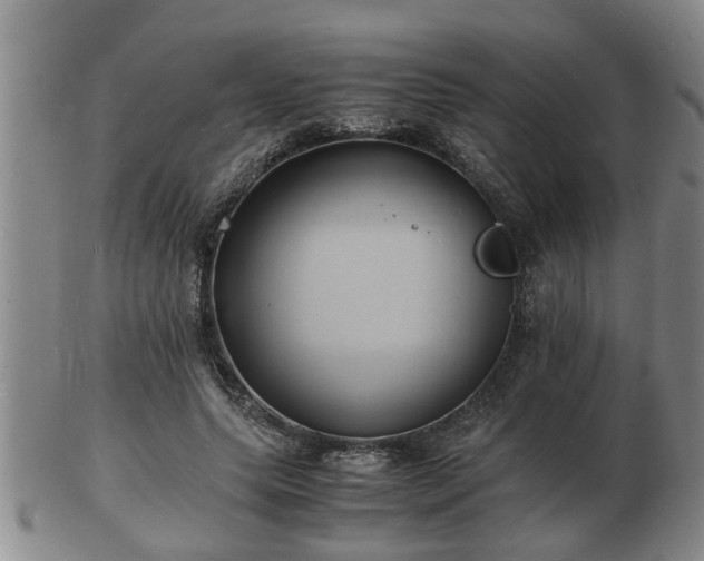 X0000103290639200809051500