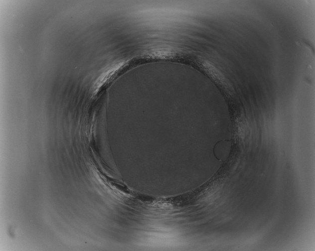 X0000103290640200809051500