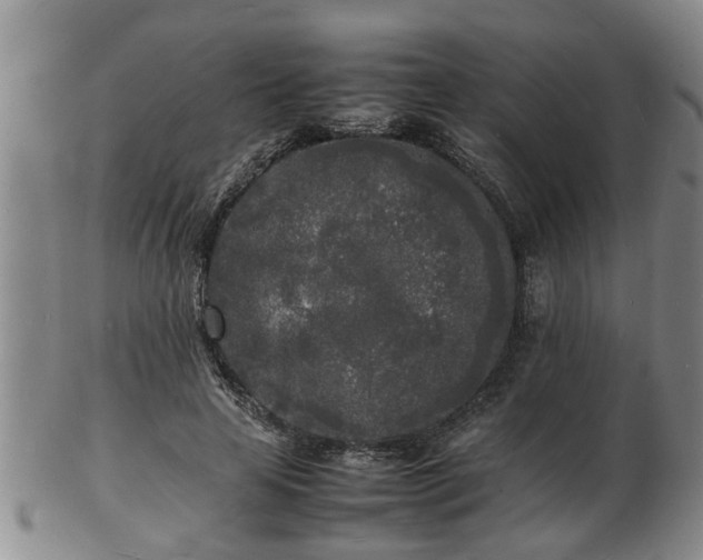 X0000103290641200809051500