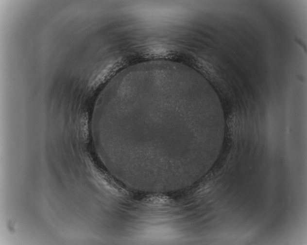 X0000103290642200809051500