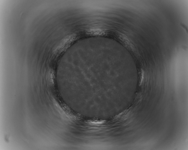 X0000103290643200809051500