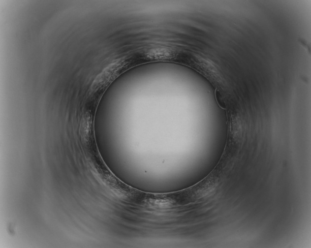 X0000103290645200809051500