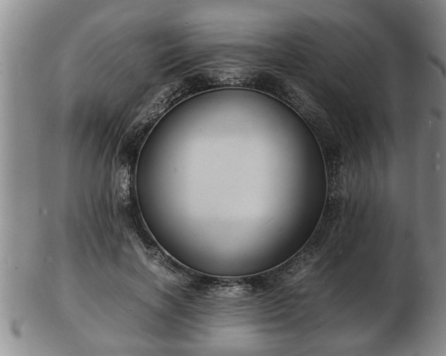 X0000103290646200809051500