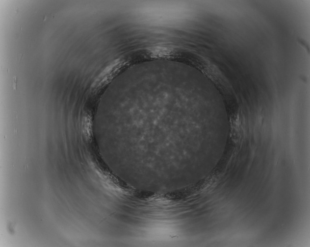 X0000103290648200809051500