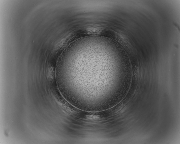 X0000103290649200809051500