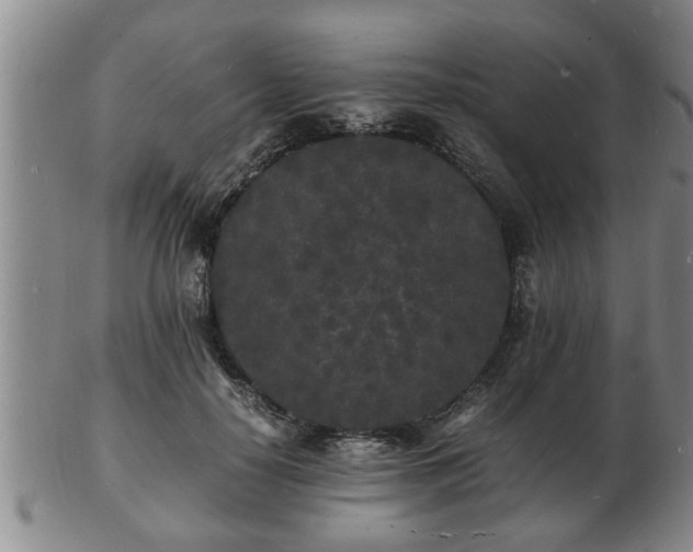 X0000103290650200809051500