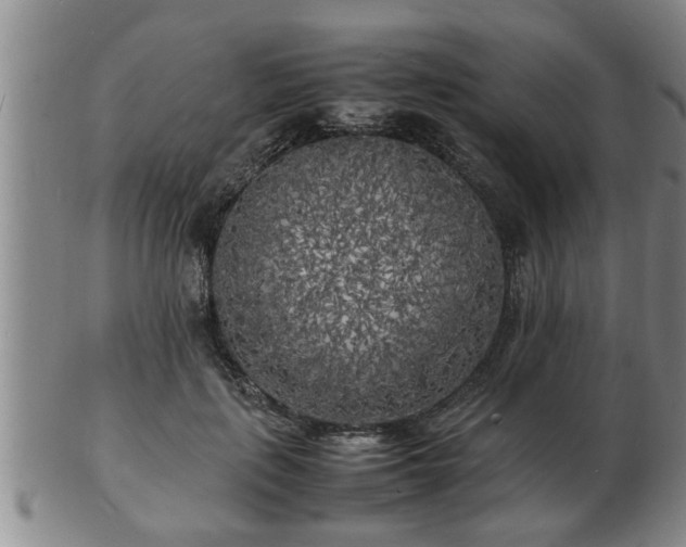 X0000103290651200809051500