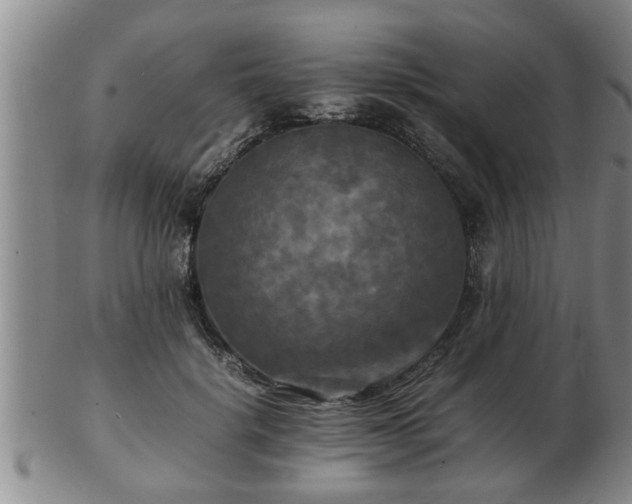 X0000103290652200809051500