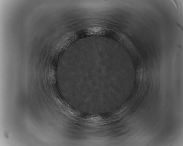 X0000103290653200809051500