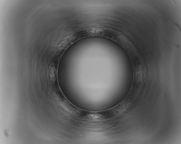 X0000103290654200809051500