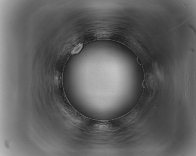 X0000103290655200809051501