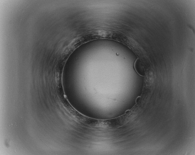 X0000103290656200809051501