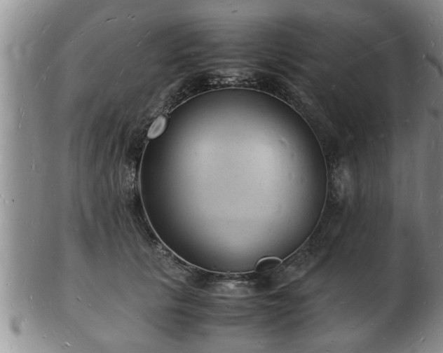 X0000103290657200809051501