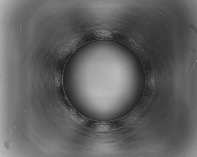 X0000103290658200809051501