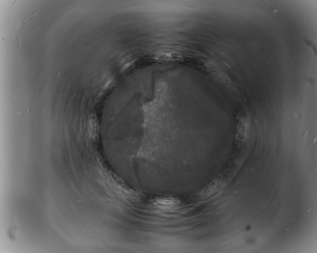 X0000103290659200809051501