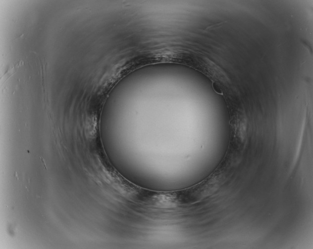 X0000103290660200809051501