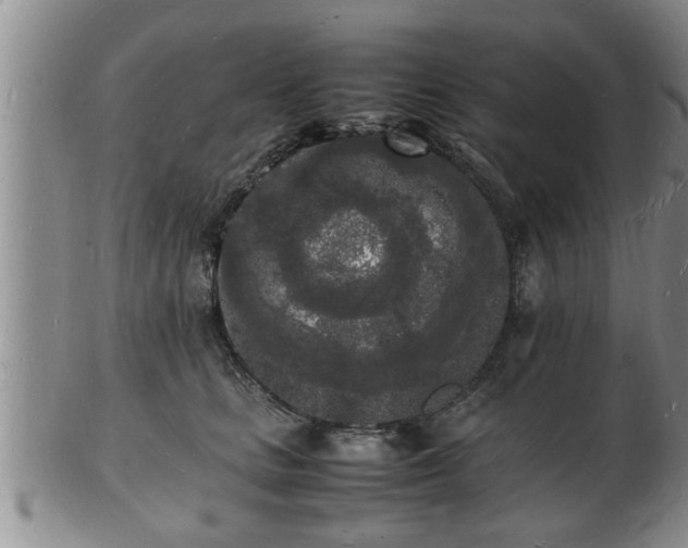 X0000103290661200809051501