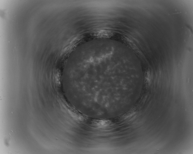 X0000103290663200809051501