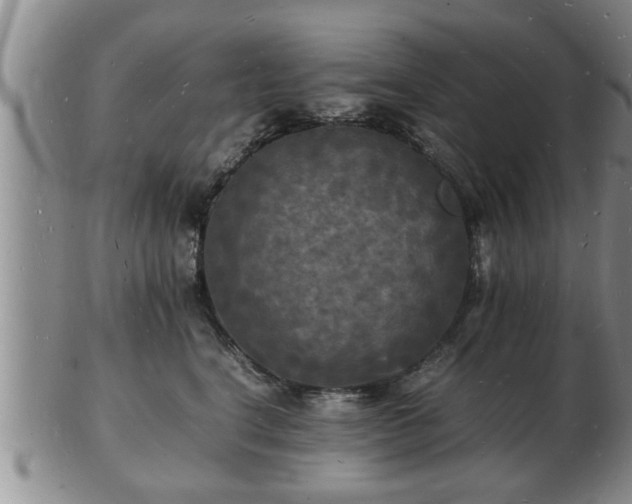 X0000103290664200809051501