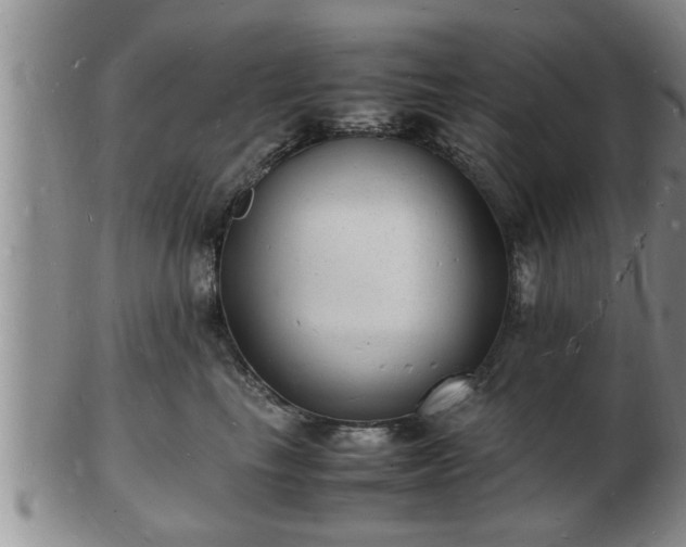 X0000103290665200809051501