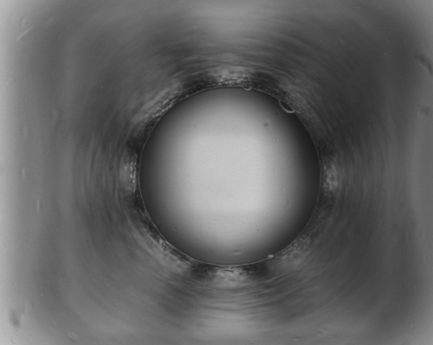 X0000103290666200809051501