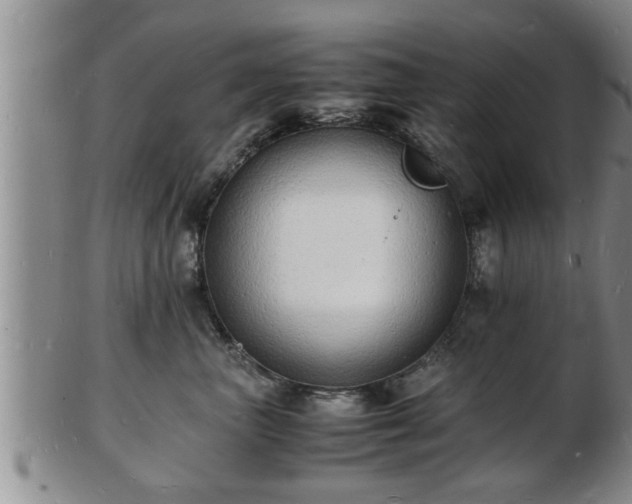 X0000103290667200809051501