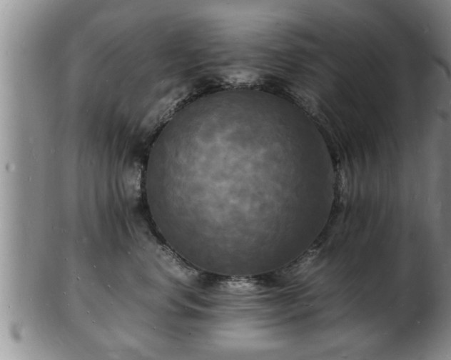 X0000103290668200809051501