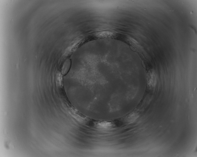 X0000103290669200809051501