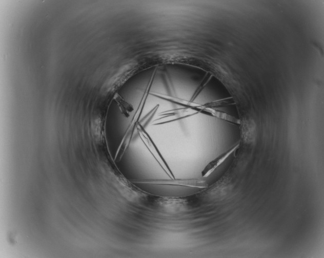 X0000103290670200809051501