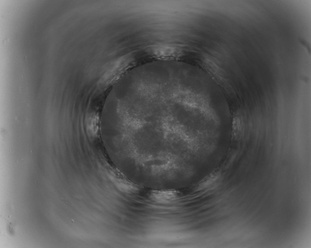 X0000103290671200809051501