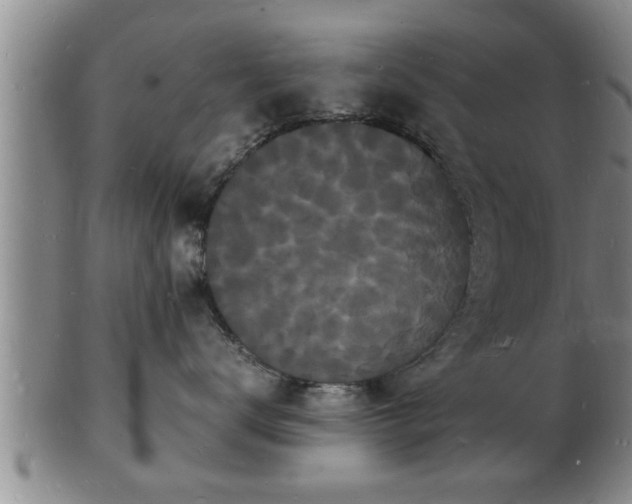 X0000103290672200809051501