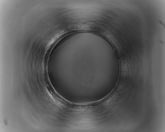 X0000103290674200809051500